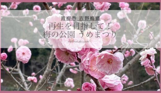 梅の里の再生を目指して！東京都青梅市の「梅まつり」