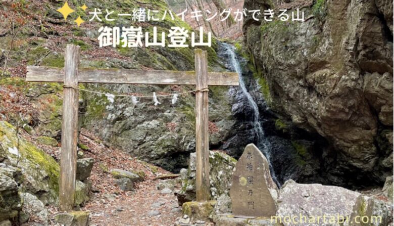 御嶽山登山 大岳山 奥の院峰 愛犬と一緒にハイキングできる山 Mocharina 着ぐるみ脱いで旅