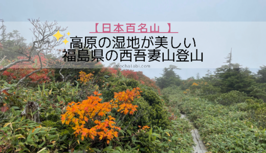 紅葉が美しい福島県の西吾妻山・湿地にかかる木の道を歩く【日本百名山】