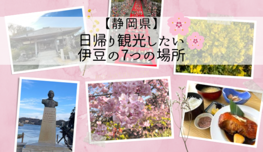 【静岡県】河津桜の季節に日帰り観光したい伊豆の7つの場所
