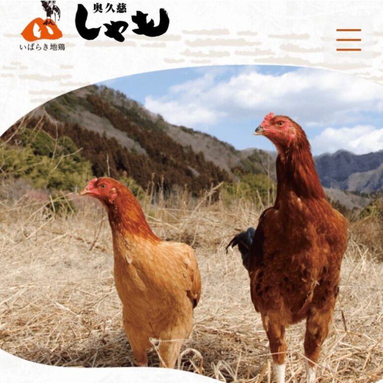 ヘルシーで濃厚な味わい!茨城の地鶏の奥久慈しゃも料理 | mocharina 着ぐるみ脱いで旅!