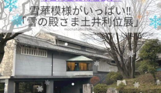 雪華模様が江戸の町で大ブレーク！ロマン溢れる「雪の殿さま 土井利位展」2023【古賀歴史博物館】