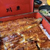 成田山の老舗うなぎ「川豊」別館でうな重｜三連休の初詣ランチ
