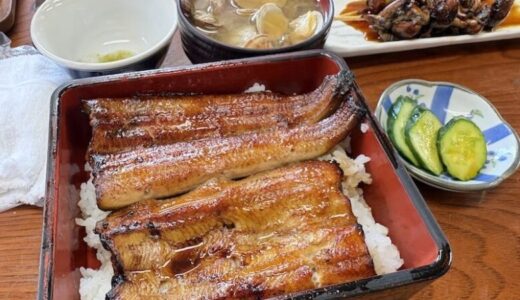 【千葉県市川市】炭火焼鰻「そめや」でうな重ランチ｜変わらない美味しさを味わいました