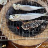 🐟【千葉・九十九里】古民家食堂もちづきでランチ！七輪で焼くいわしづくし定食となめろう定食
