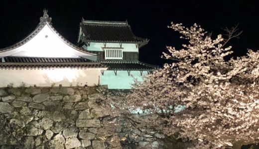 「福岡さくらまつり」のライトアップお花見・福岡城跡舞鶴公園